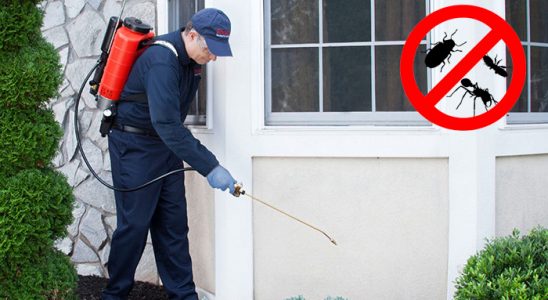 Aksaray Karınca İlaçlama böcek ilaçlama ve haşere kontrolü — ilaclama-tr.com